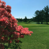 練習場について