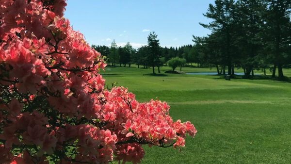 練習場について